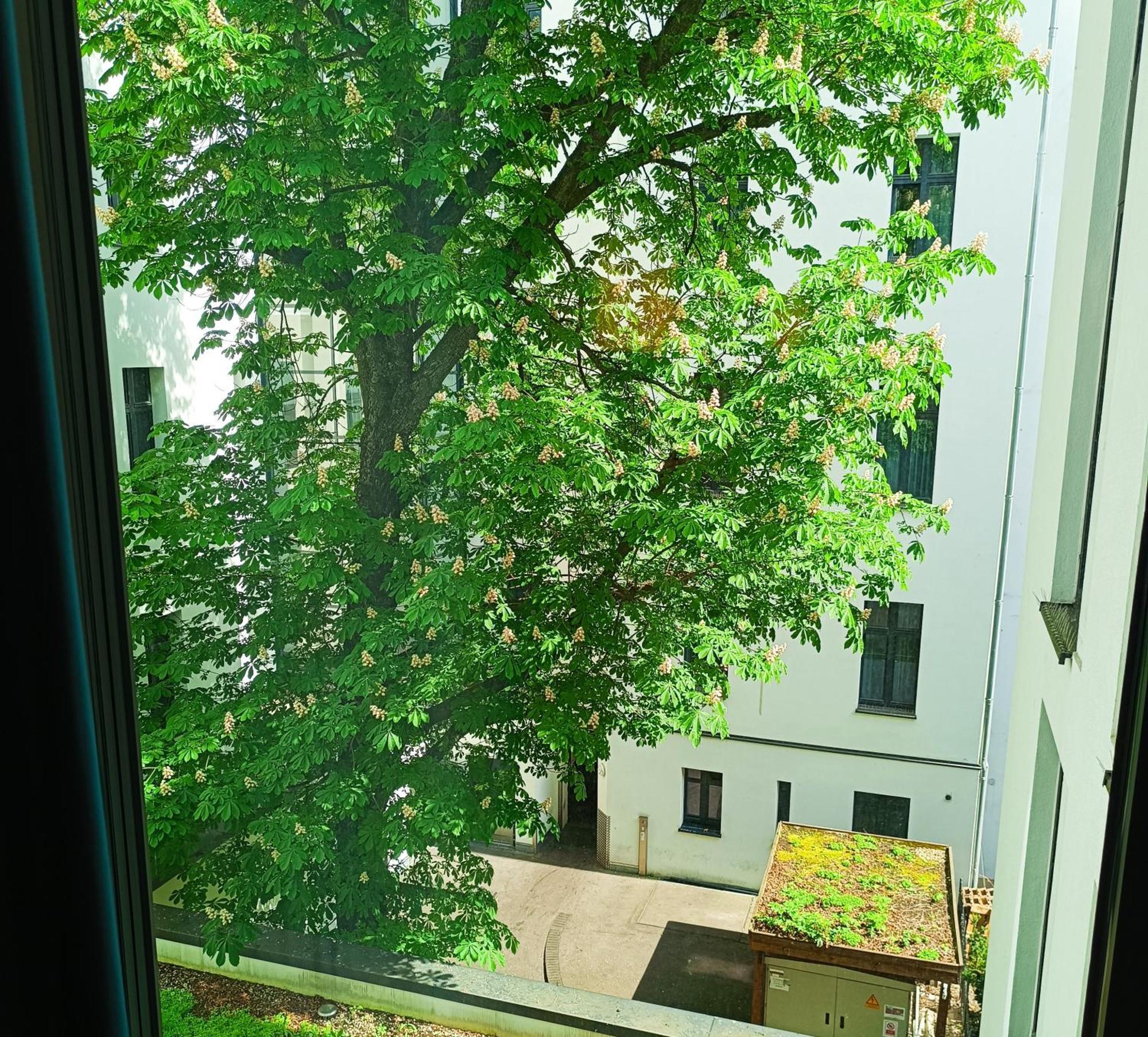 Mercure Hotel Berlin Wittenbergplatz 4* Berlin